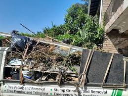 Best Residential Junk Removal  in Pine Level, AL